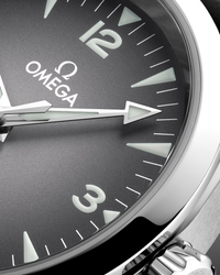 Seamaster Railmaster