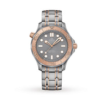 Seamaster Diver 300M