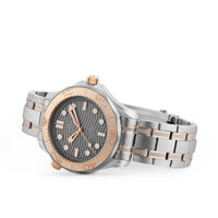 Seamaster Diver 300M