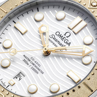 Seamaster Diver 300M Paris 2024