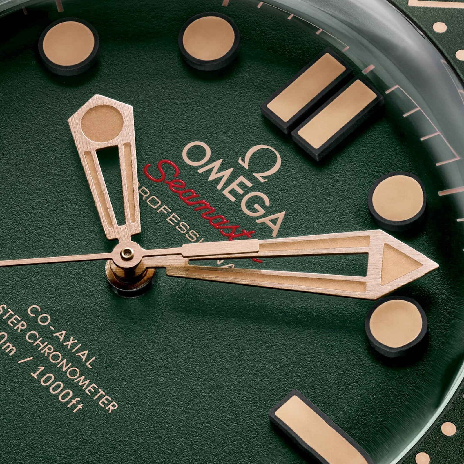 Seamaster Diver 300M