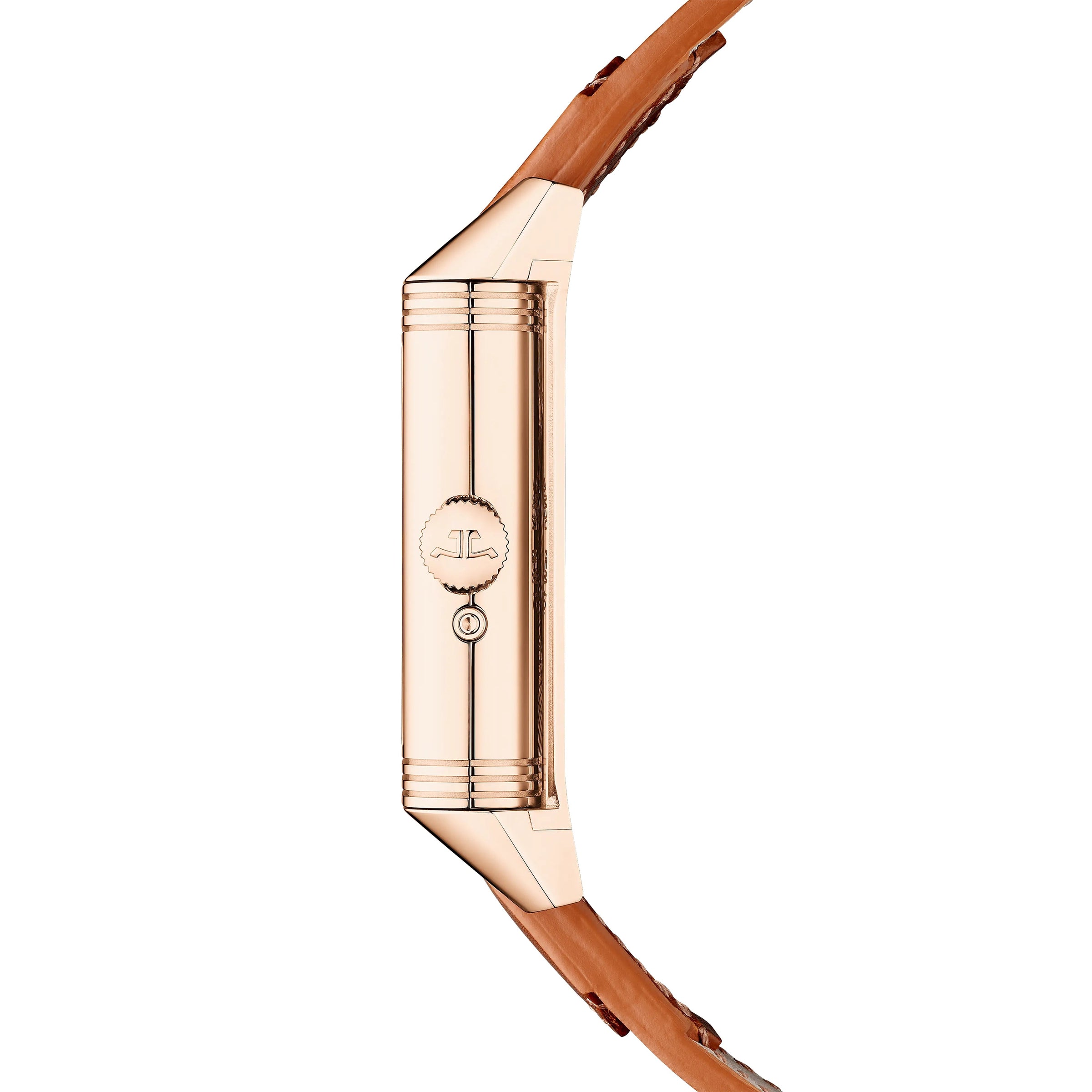 Reverso Tribute Geographic