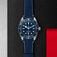 Black Bay 58