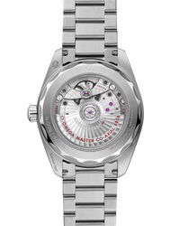 Seamaster Railmaster