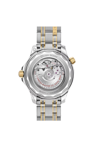 Omega Seamaster Diver 300M 210.20.42.20.03.001