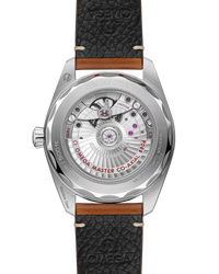 Seamaster Railmaster