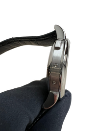 A. Lange & Sohne Langematik Perpetual Platinum Men's Watch
