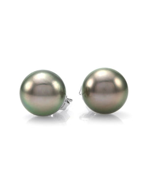 Tahitian Pearl Stud Earrings in Gold