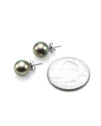 Tahitian Pearl Stud Earrings in Gold