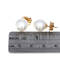 South Sea Pearl Stud Earrings in Yellow Gold