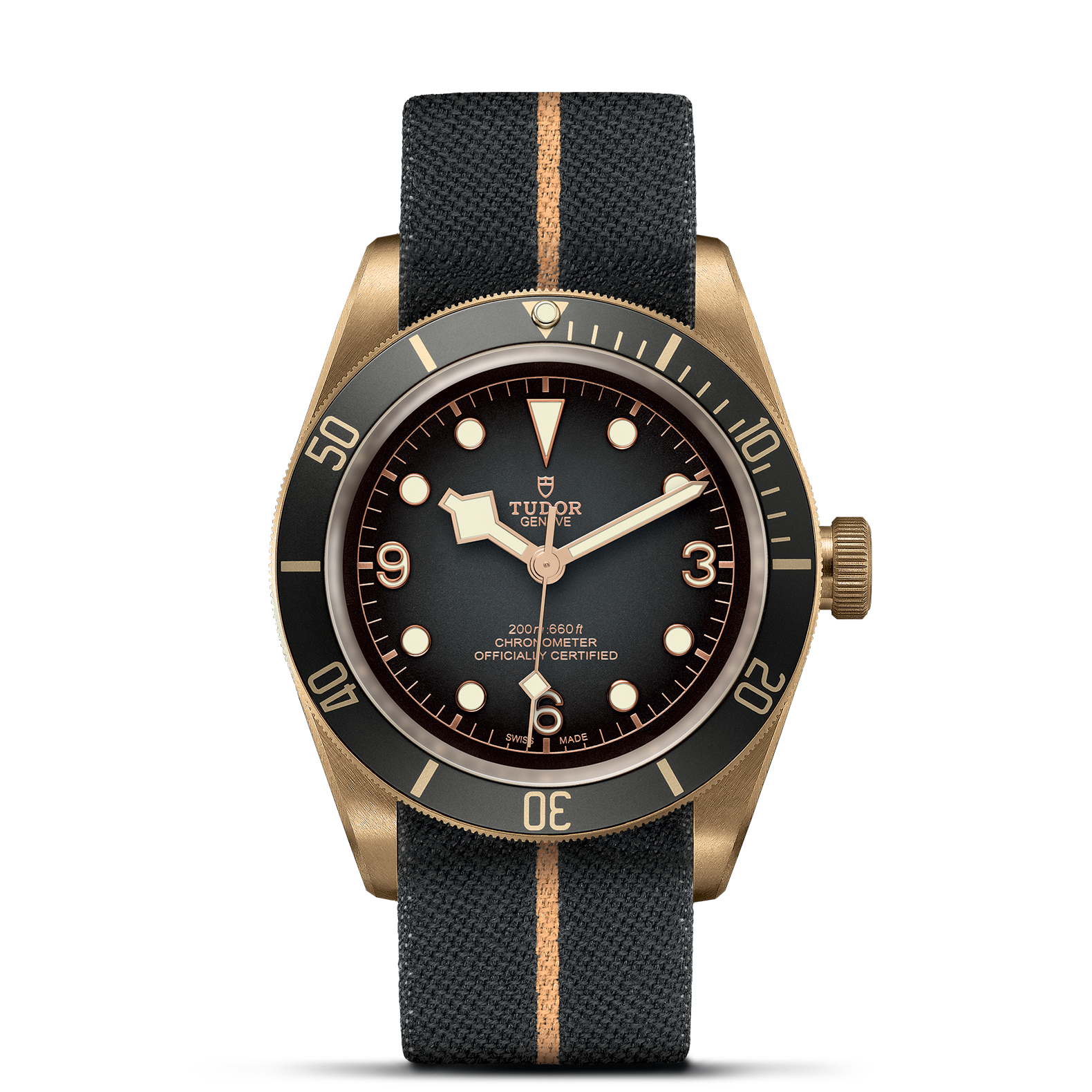 Black Bay Bronze
