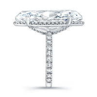20.09 Carat Oval Diamond Ring with Pavé Band
