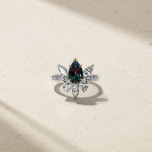 Descriptive image text