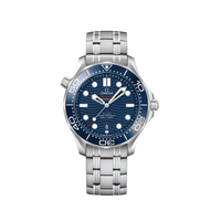 Omega Seamaster Diver 300M 210.90.42.20.01.001