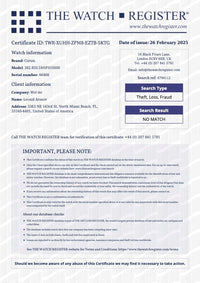 Corum Panoramique Tourbillon 18K White Gold Men's Watch