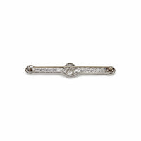 Antique White Gold and Diamond Pin