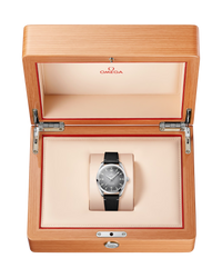 Seamaster Railmaster