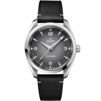 Seamaster Railmaster