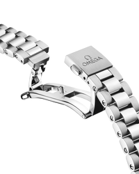 Seamaster Aqua Terra 150M