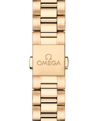 Seamaster Aqua Terra 150M