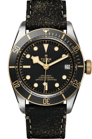 Tudor Black Bay S&G Ref - M79733N-0007