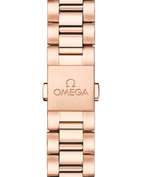 Seamaster Aqua Terra 150M
