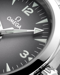 Seamaster Railmaster