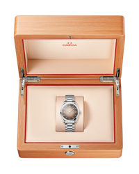 Seamaster Railmaster
