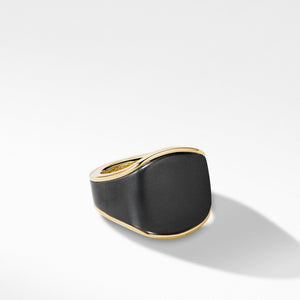 Streamline Signet Ring in 18K Yellow Gold with Black Titanium