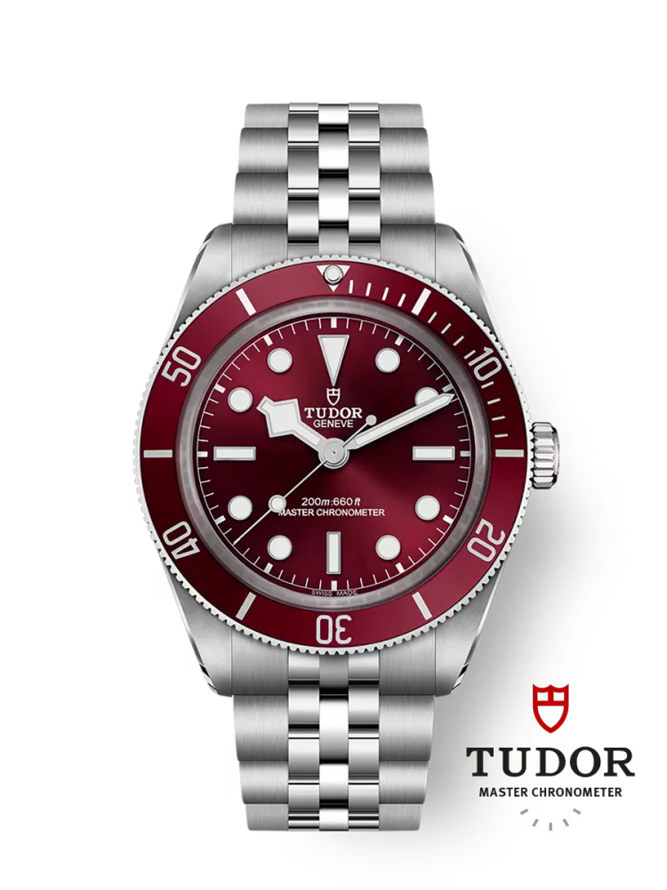Tudor Black Bay 58 - m7939a1a0ru-0001