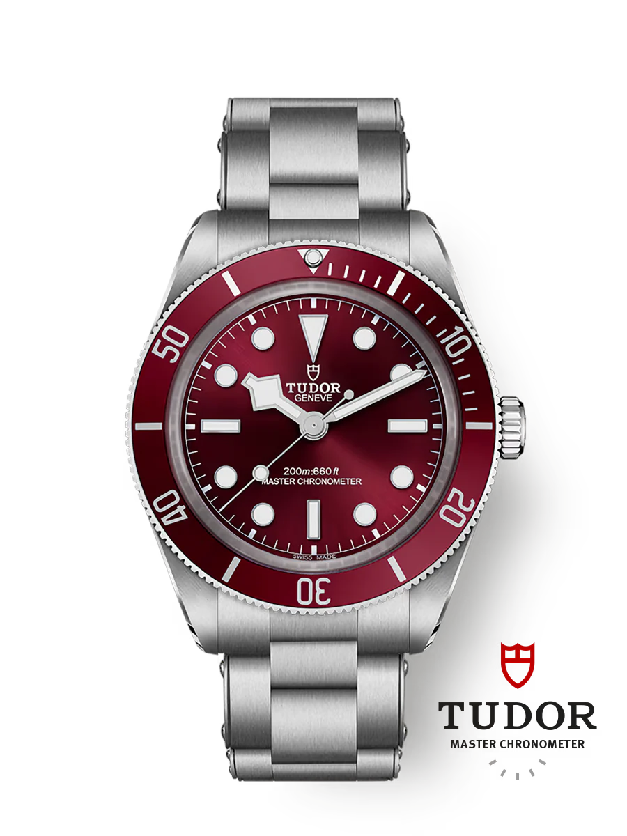 Tudor Black Bay 58 - m7939a1a0ru-0002