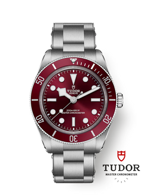 Tudor Black Bay 58 - m7939a1a0ru-0002
