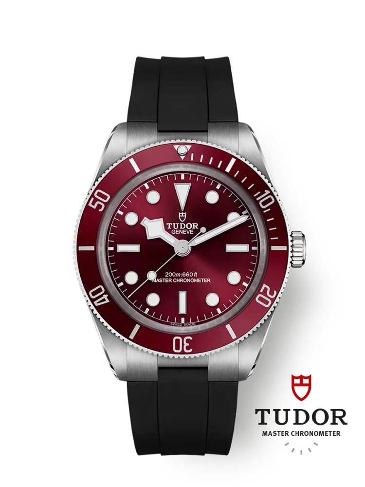 Tudor Black Bay 58 - m7939a1a0ru-0003