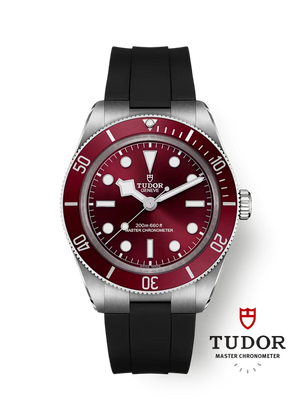 Tudor Black Bay 58 - m7939a1a0ru-0003
