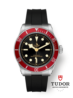 Tudor Black Bay 41 - m7941a1a0ru-0002