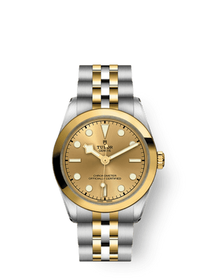 Tudor Black Bay 31 - m79603-0005