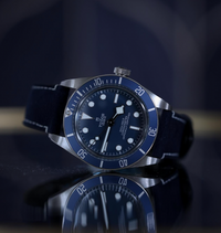 Tudor Black Bay 58 - M79030B-0002 - 2022