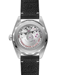 Seamaster Railmaster