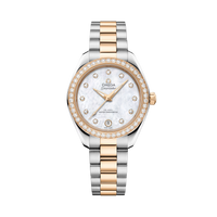 Seamaster Aqua Terra 150M