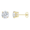 White Gold Swarovski Crystal Stud Earring in Gift Box - Golden NYC Jewelry