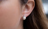 Swarovski Crystal Pearl Stud Earring in 18K White Gold Plated