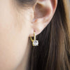 Pave Leverback Earrings in 18K Gold with Austrian Elements by Golden NYC ( 3 Colors)